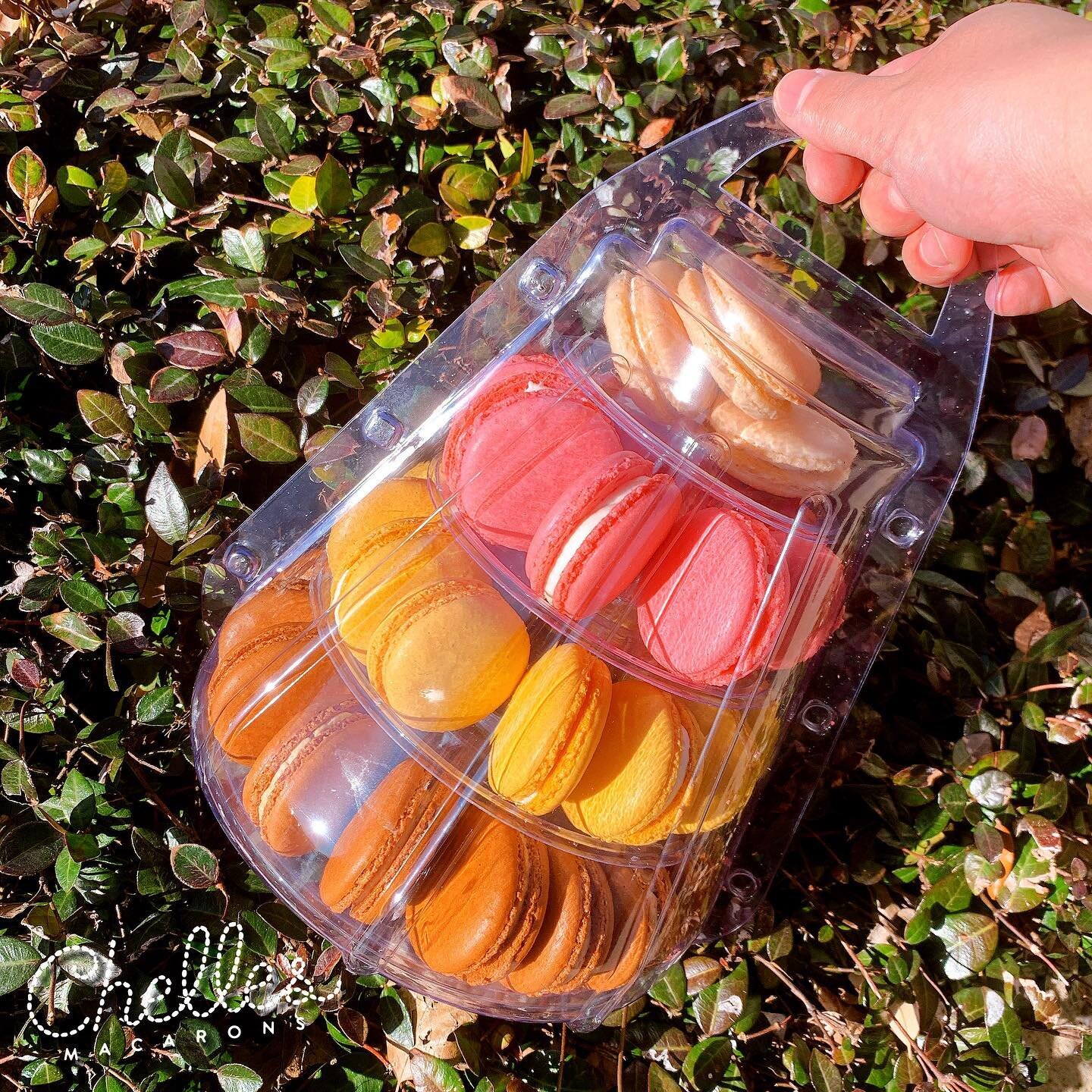 Can&rsquo;t think of anything better than some macarons for the weekend treats. Happy Sunday ! 

#ChellesMacarons #macaron #frenchmacarons #bakery #baking #foodie #sweettooth #cookies #dallasfoodie #instafood #instagood #dessert #macaronlove #patisse