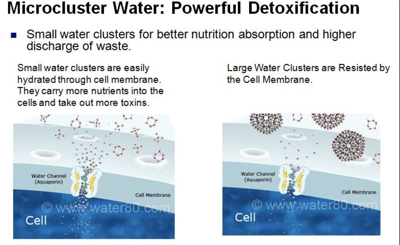 microcluster kangen water