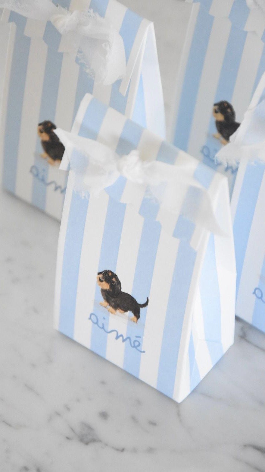 doopsuiker doosjes met blauwe strepen en hondje