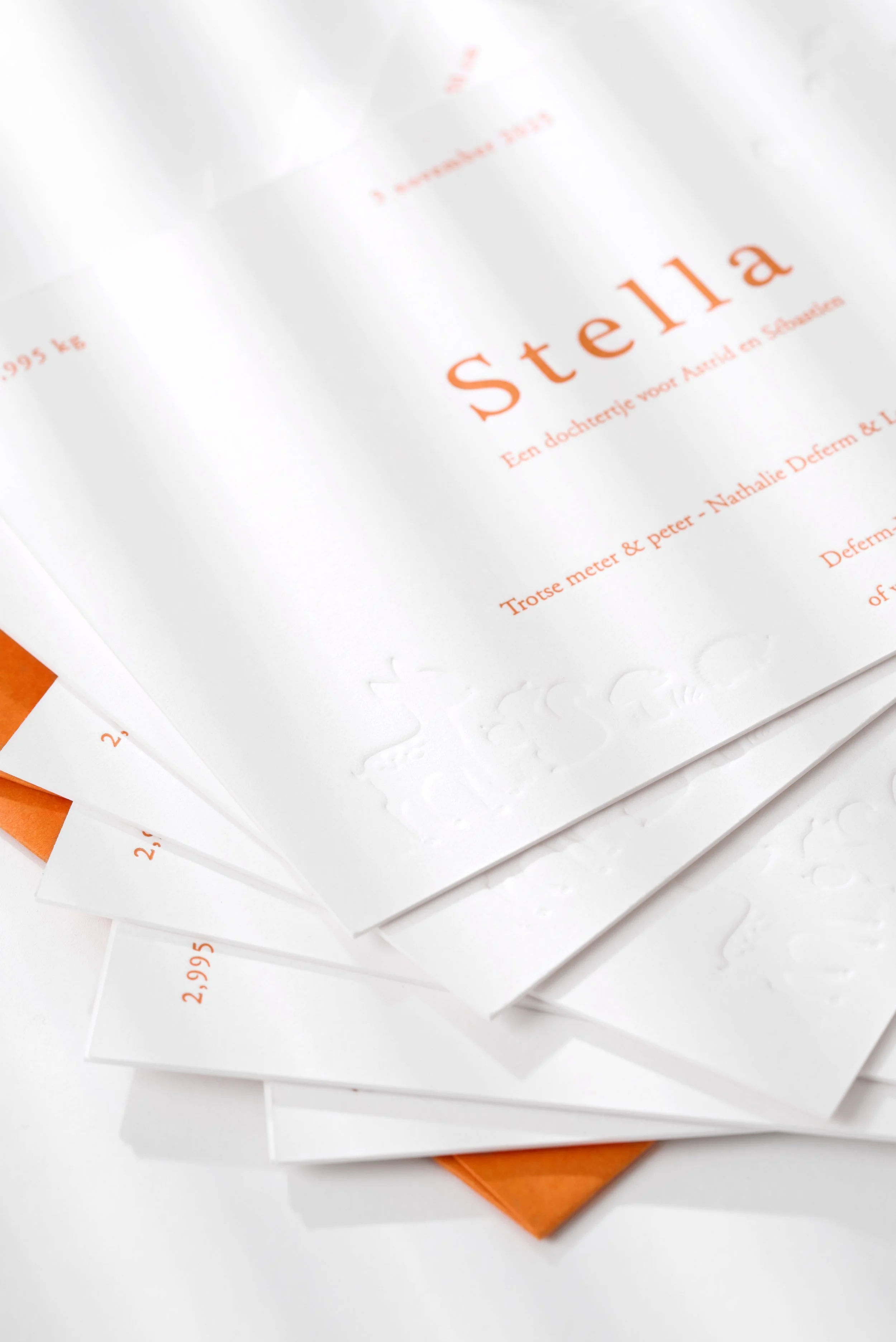 detail kaart stella