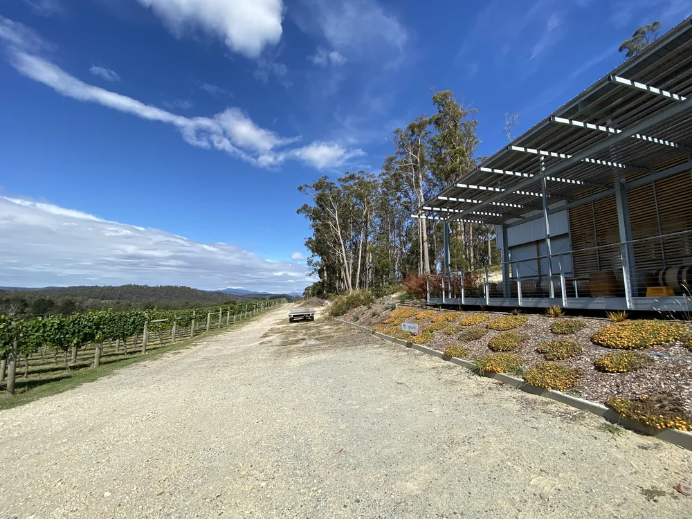 Sustainable Wine Tasmania Australia