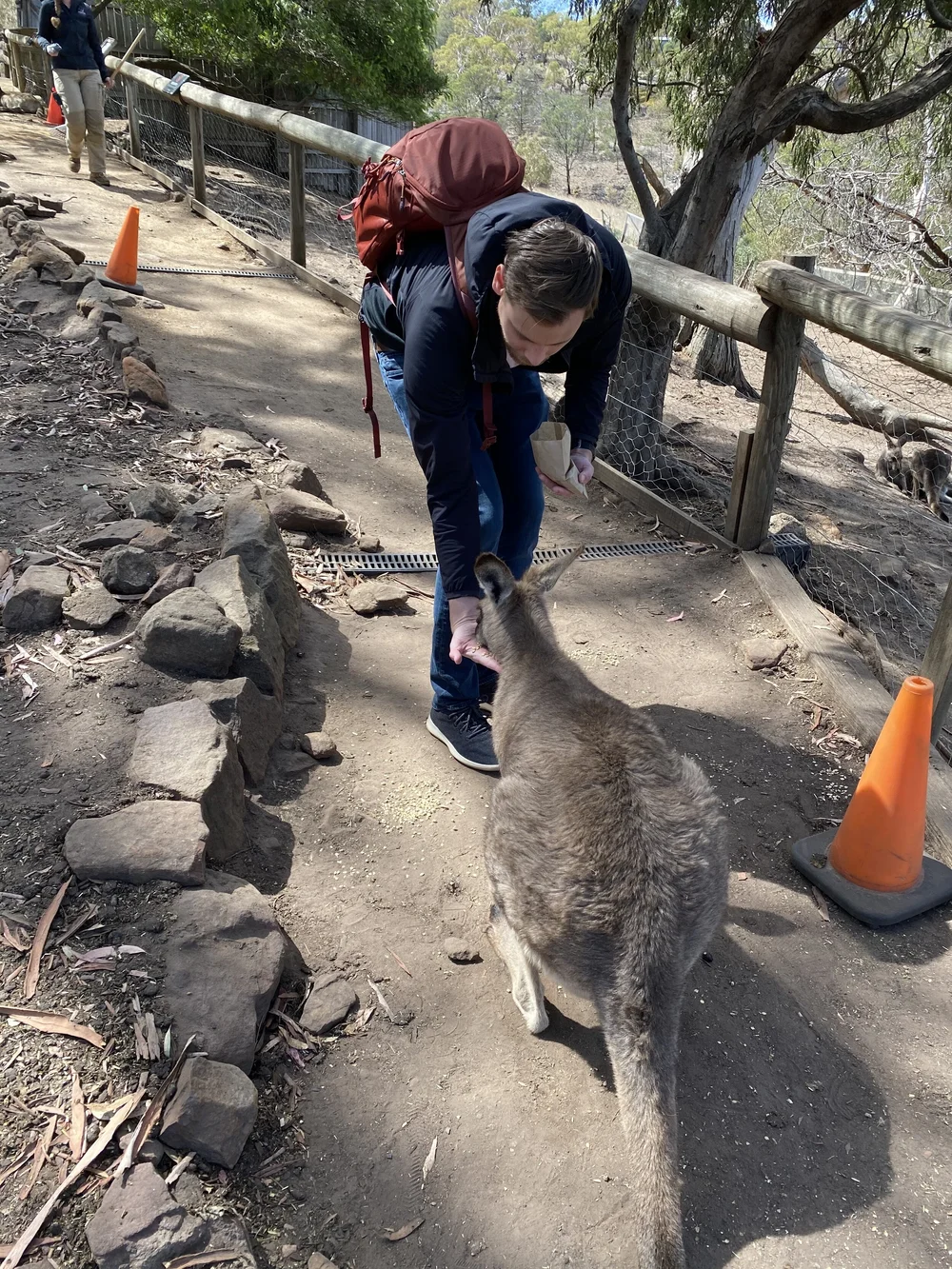 Wildlife Conservation Tasmania Australia