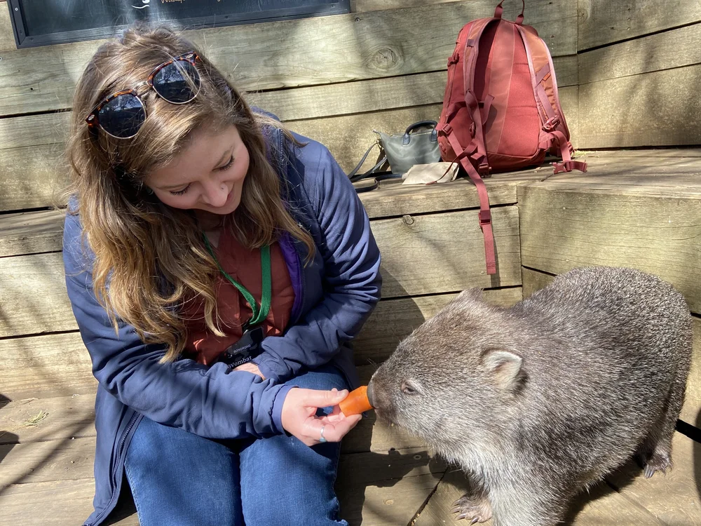 Wildlife Conservation Tasmania Australia