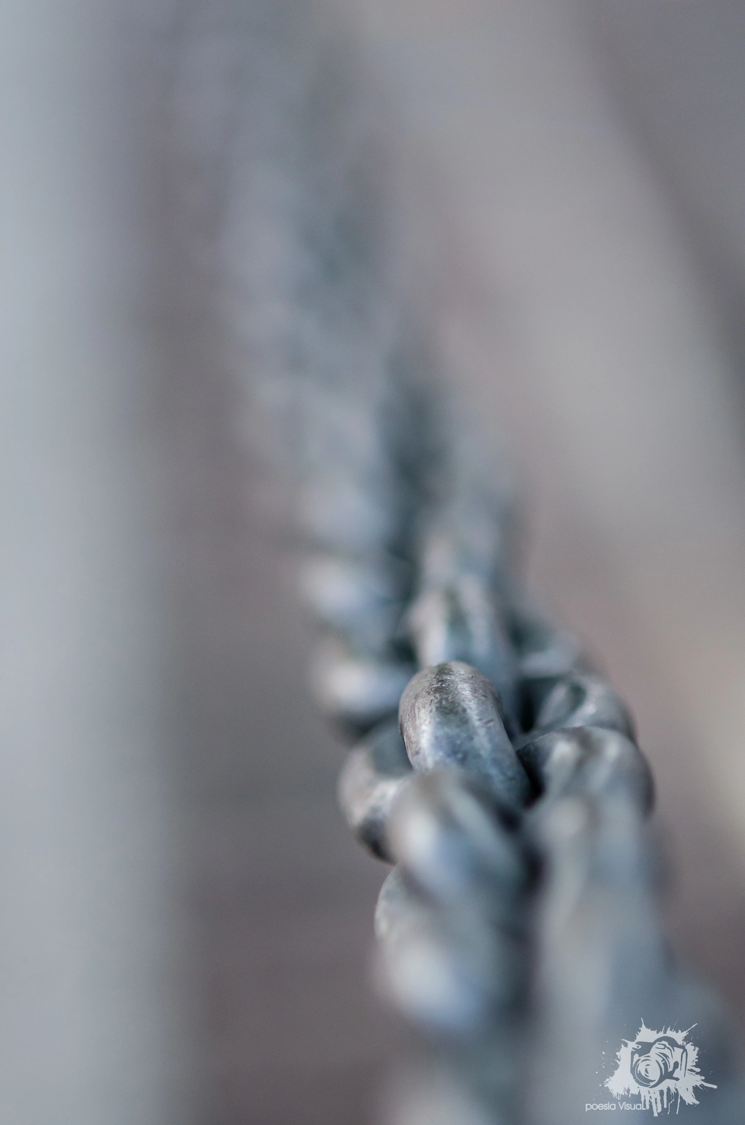 photowalk-7.jpg