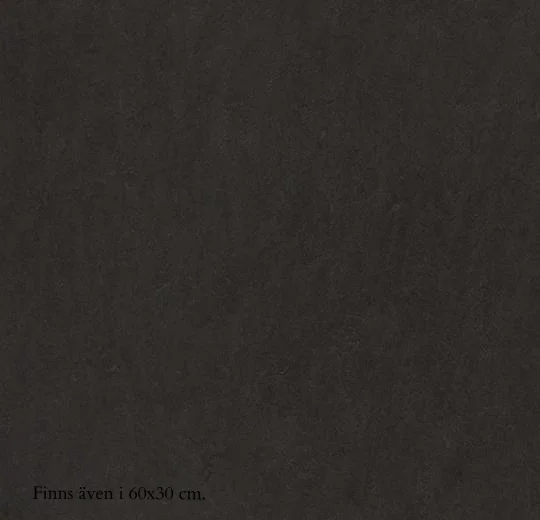 66879_753209.jpg