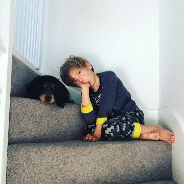 Best buddies. This pup has brought out so much love and patience in my wee boy (and in myself) Archie waits for him to get up at top of stairs every morning and here I found them hanging out.