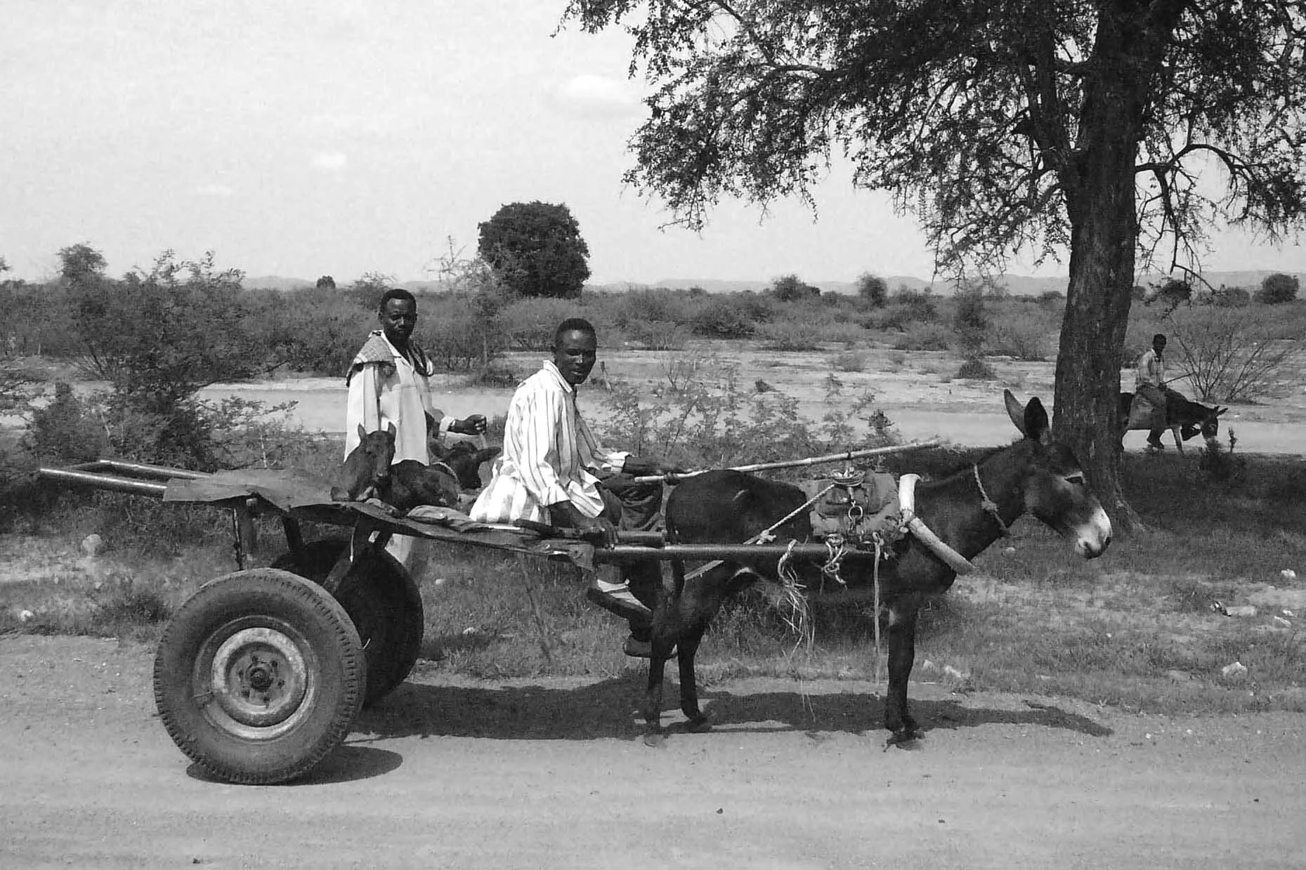 HEWA_20191231031_Sudan.JPG