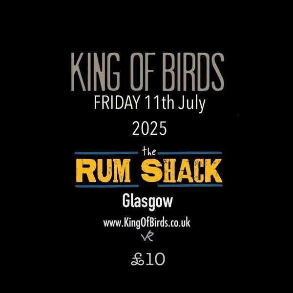 King of Birds + Family Club