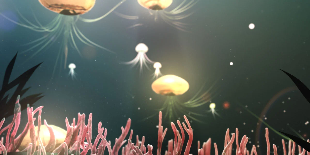 Jellyfish_04.jpg