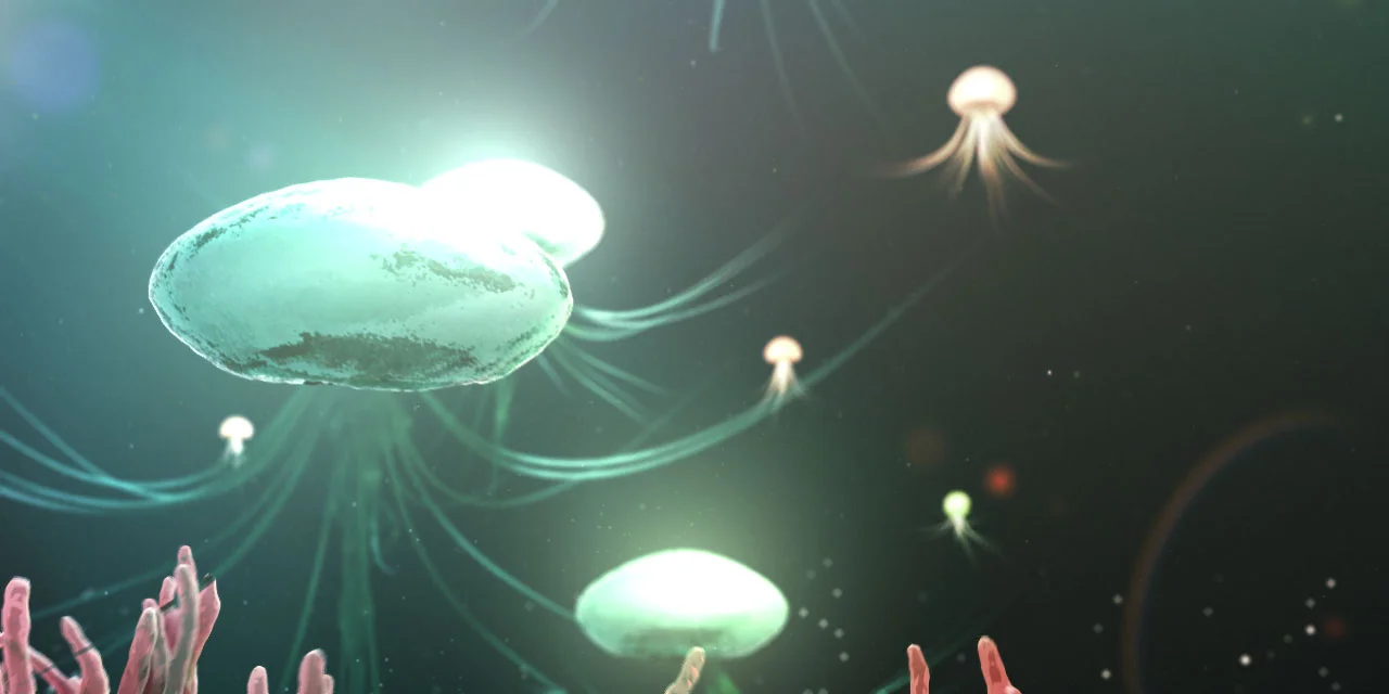 Jellyfish_03.jpg