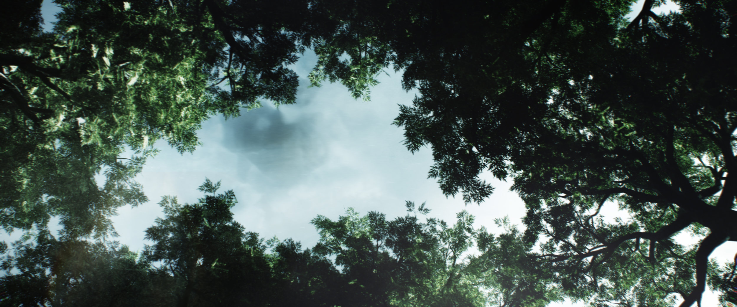 TreeUP_Clouds.jpg