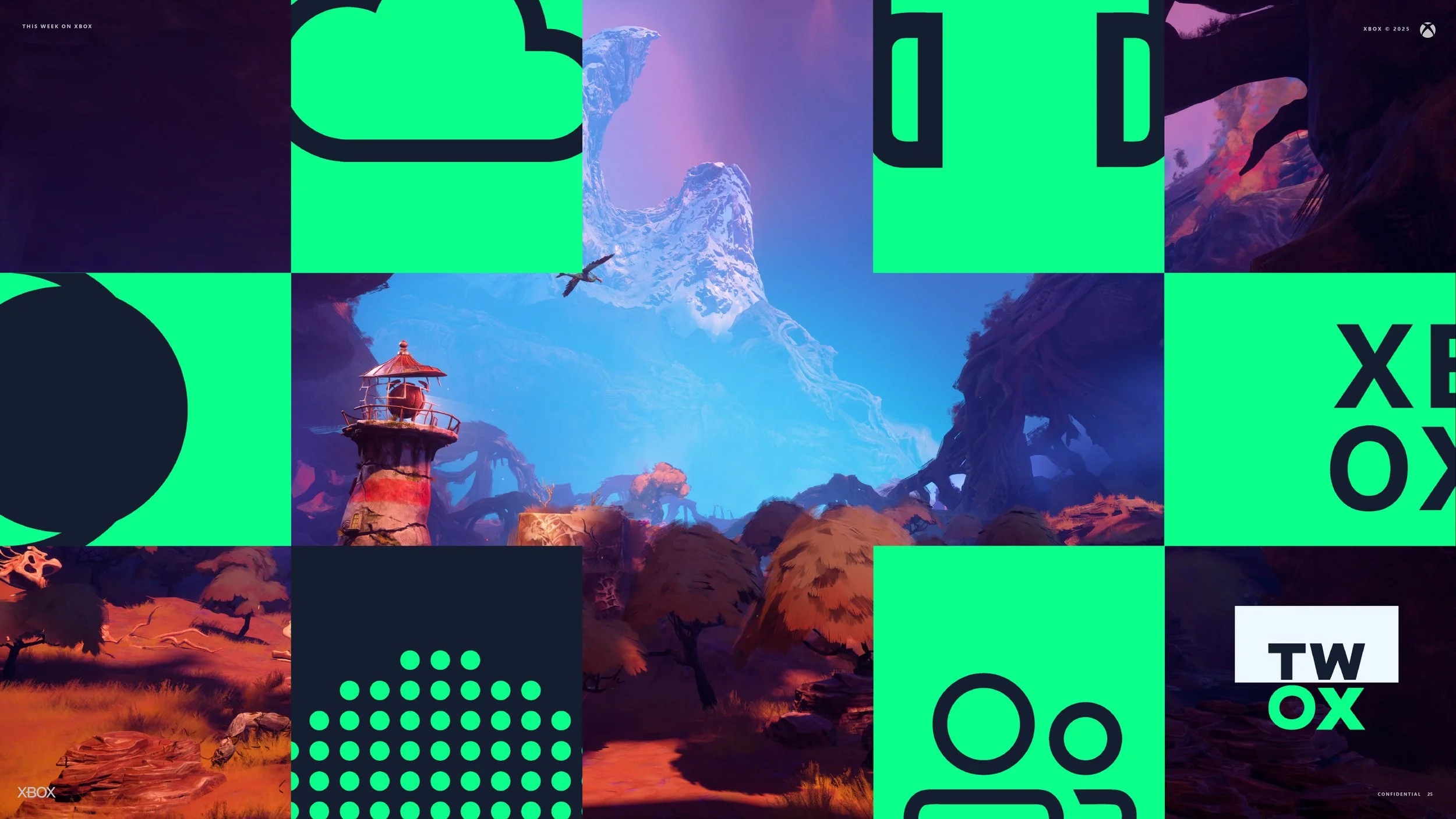 TWOX_ID_V2_25.jpg