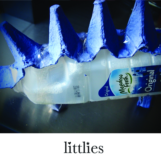 Stegosaurus Creation