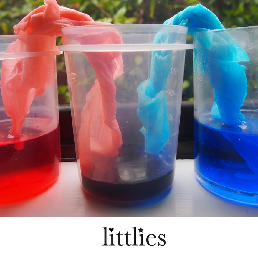 Capillaries experiment