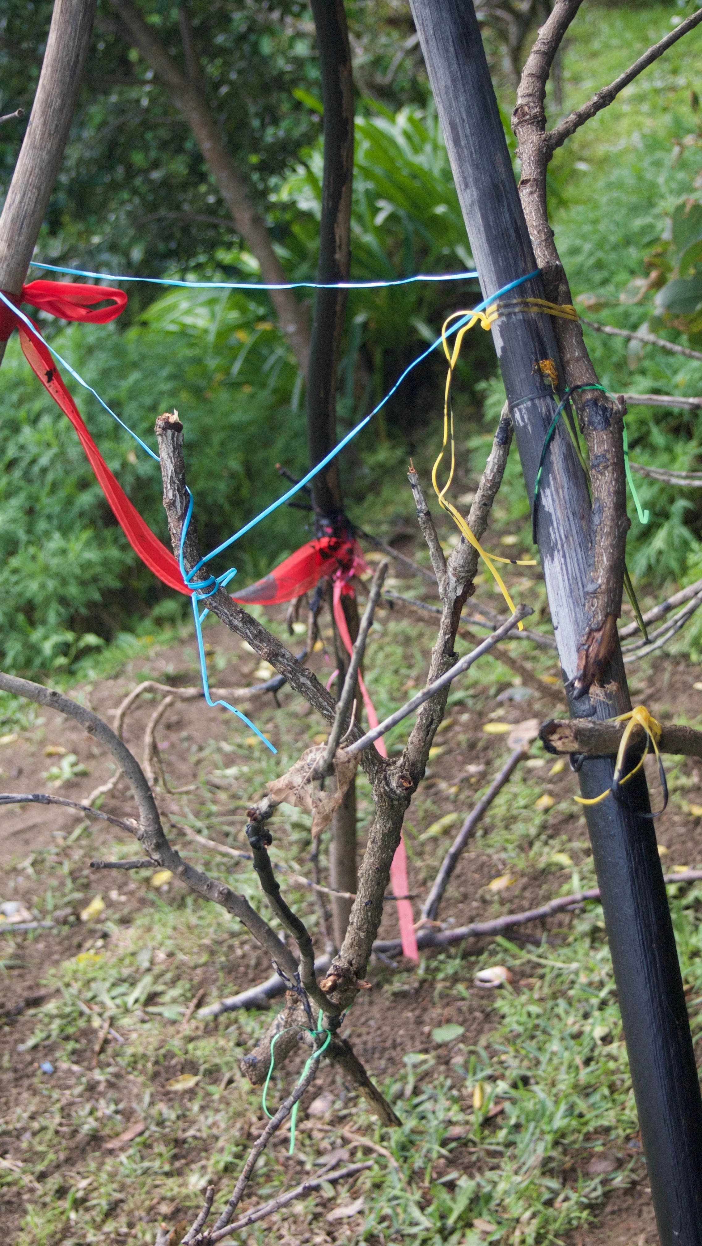 2017 Outdoor Structure 2 The progression of the outdoor structure. Paint, ribbons, plastic and threads were added.