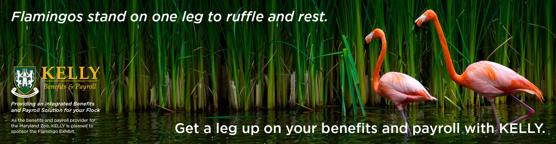 FlamingoSponsorSigns-r-s2.jpg