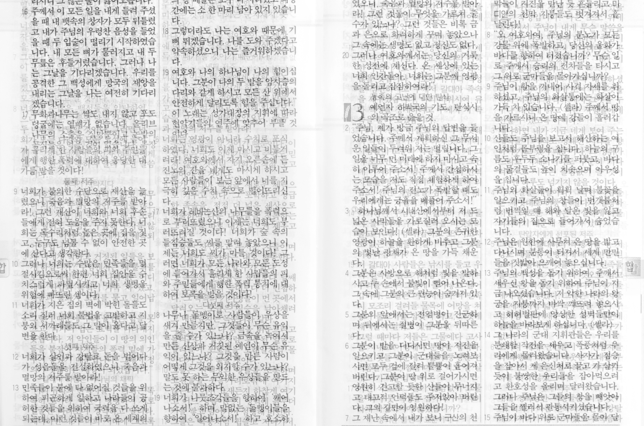 하박국, Habakkuk