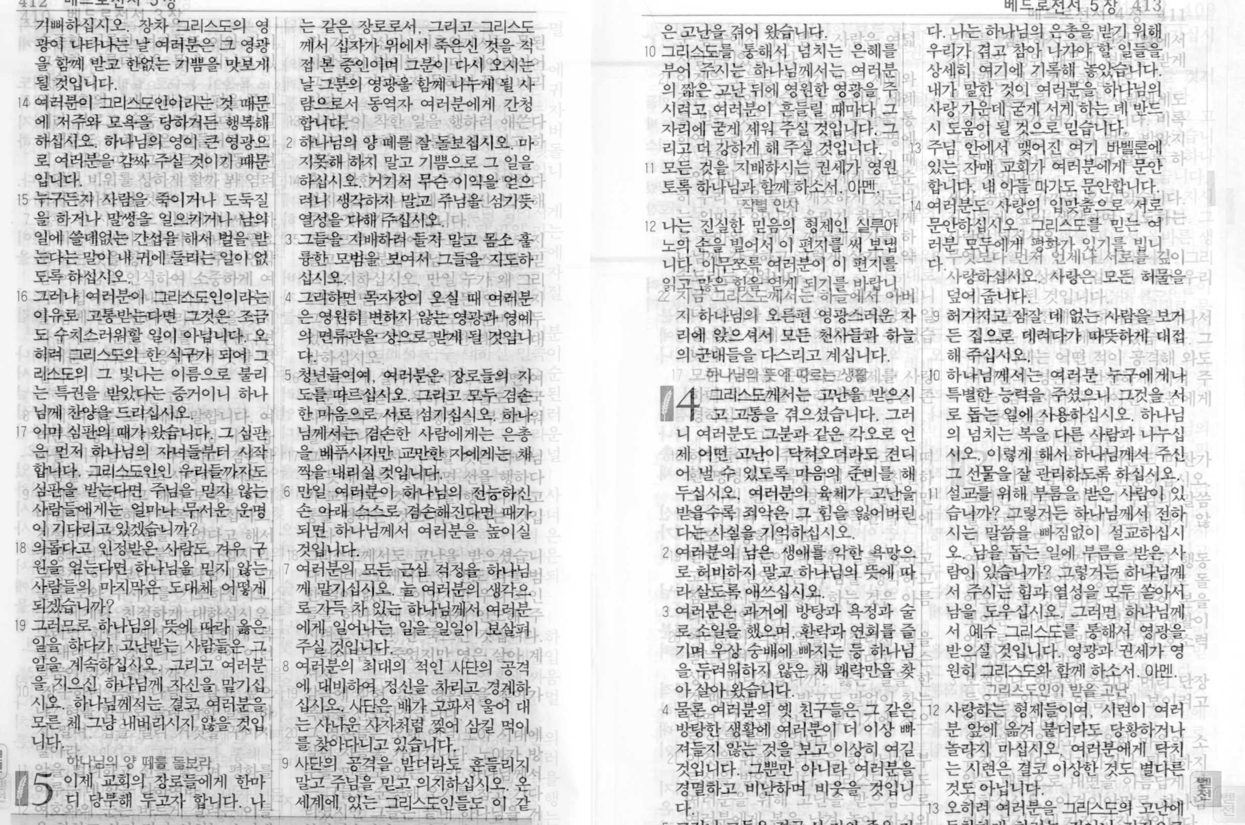 베드로전서, 1Peters