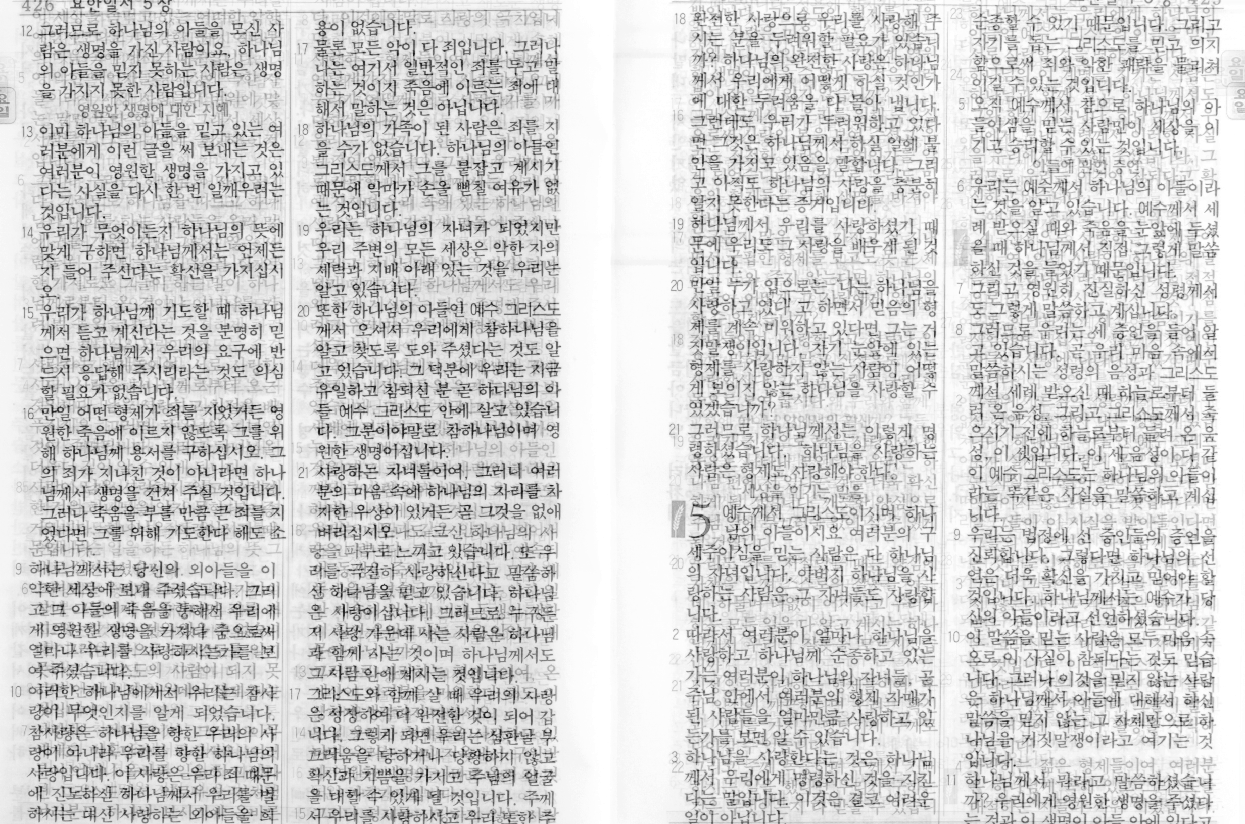 요한1서, 1John