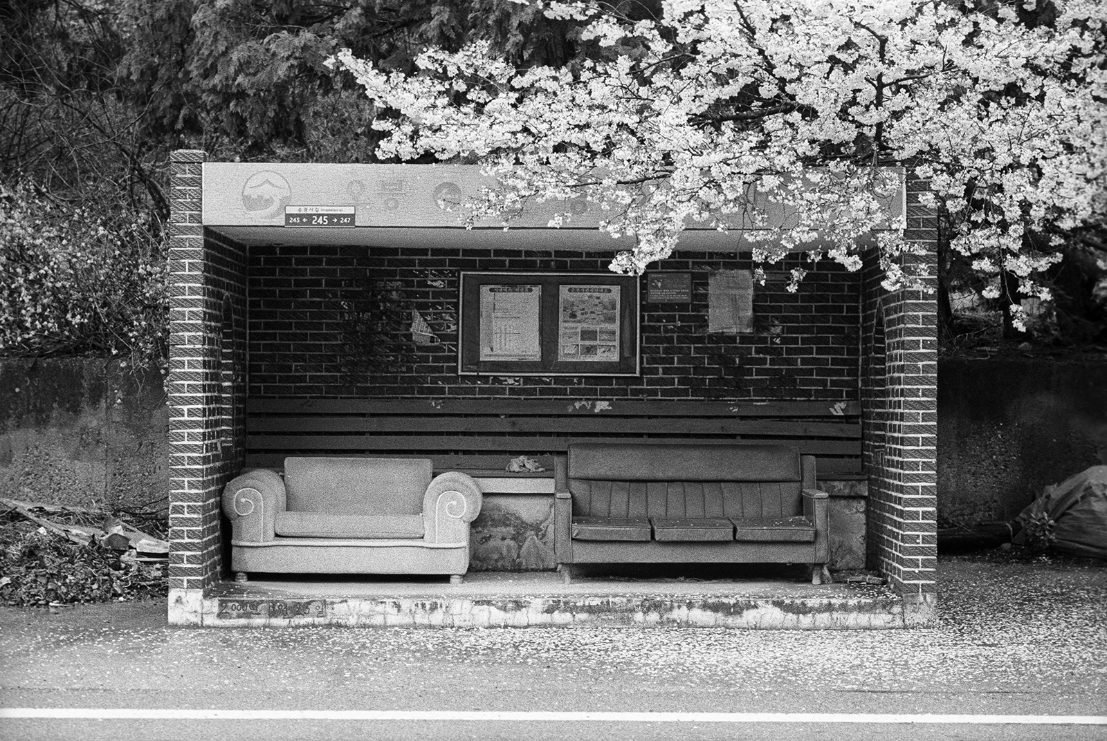 bus stop, 2015