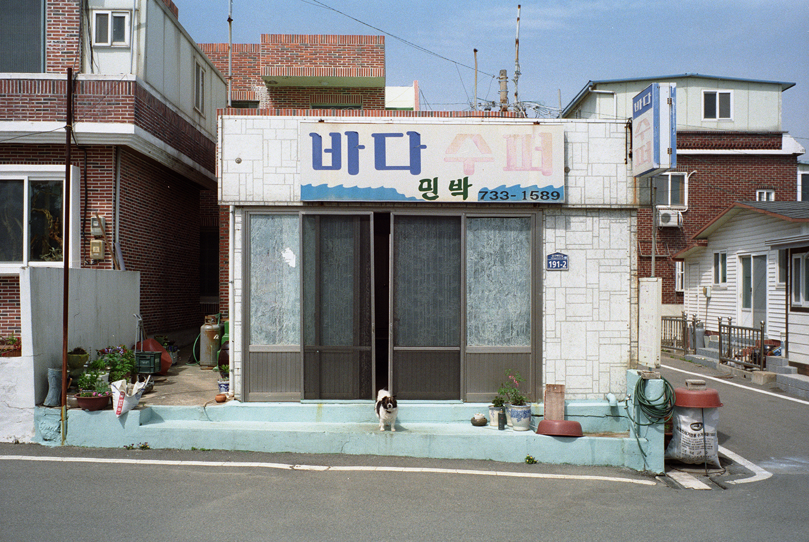 store front, 2016