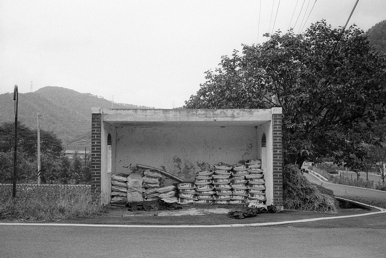 bus stop, 2016