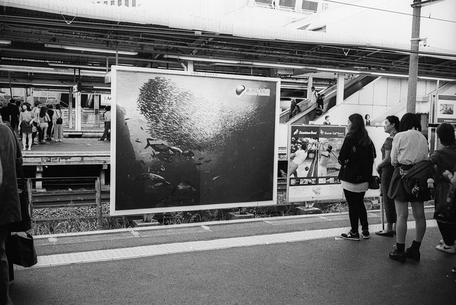tokyo, 2016