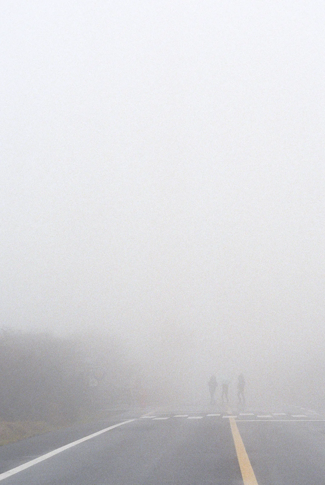 jeju, 2016