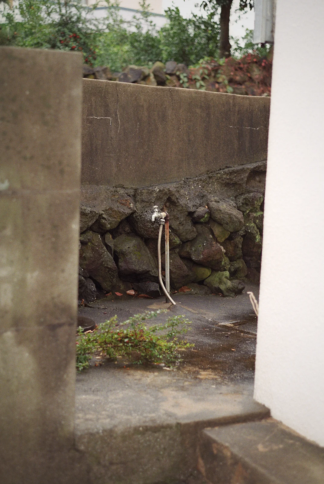 jeju, 2016