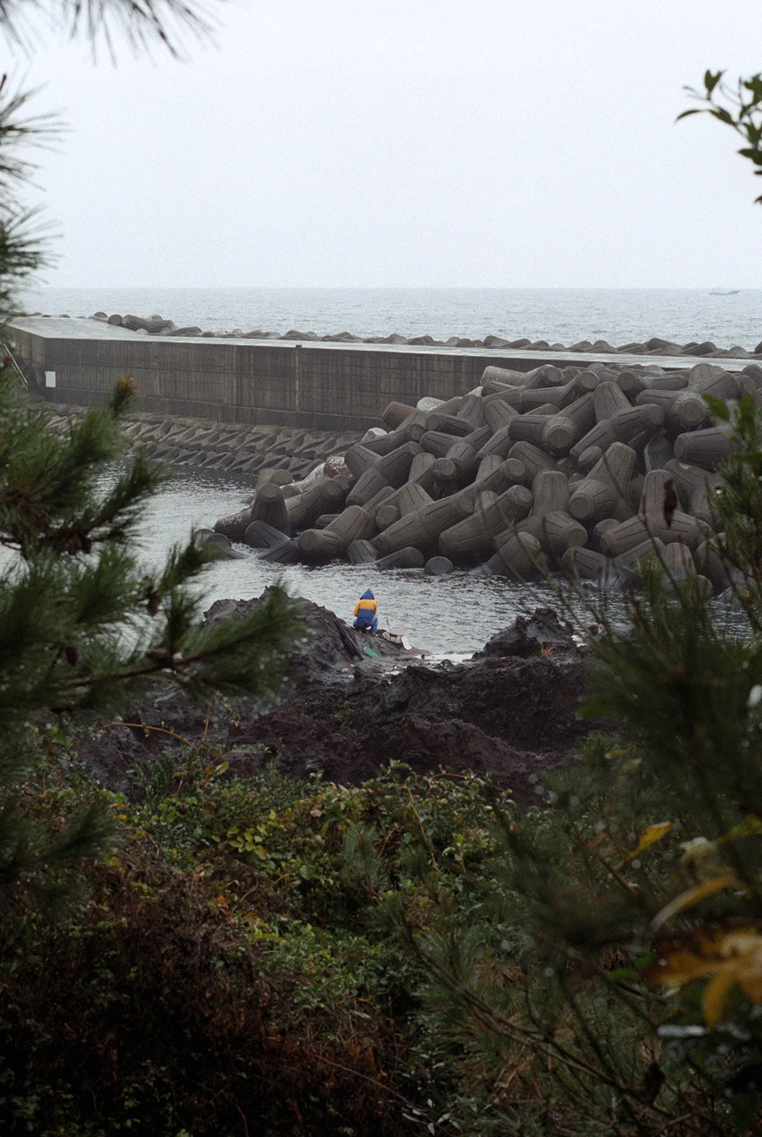 jeju, 2016