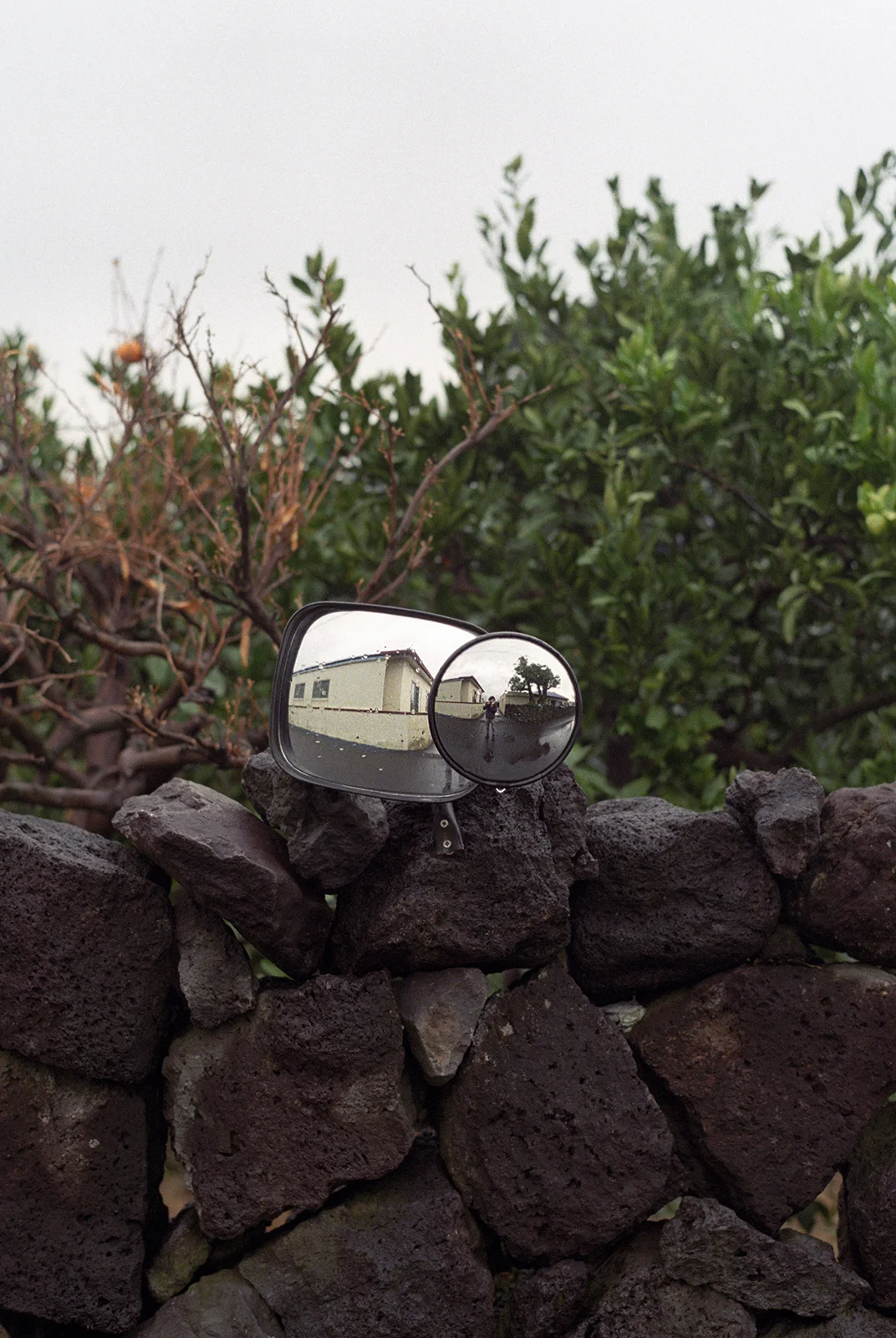 jeju, 2016