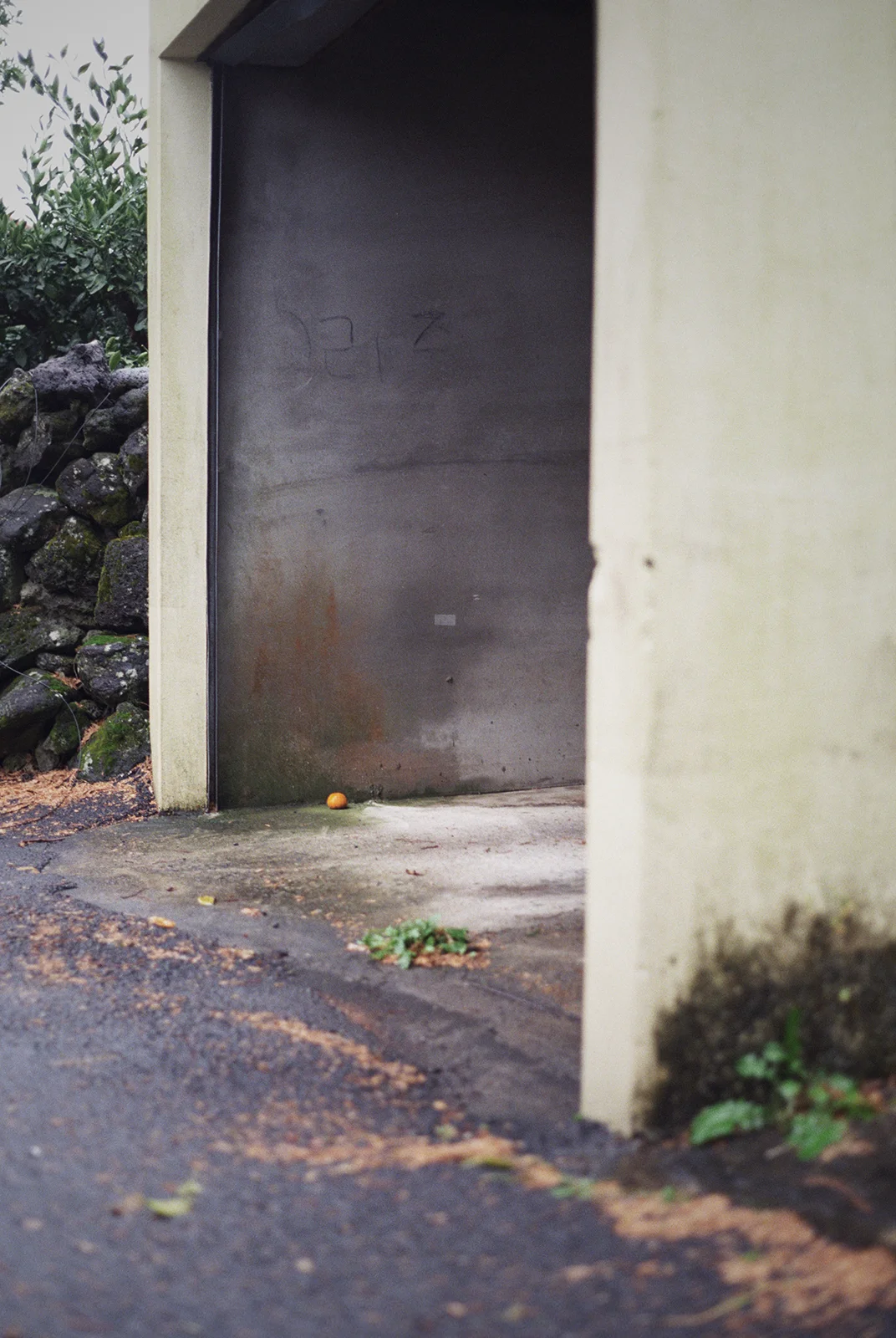 jeju, 2016
