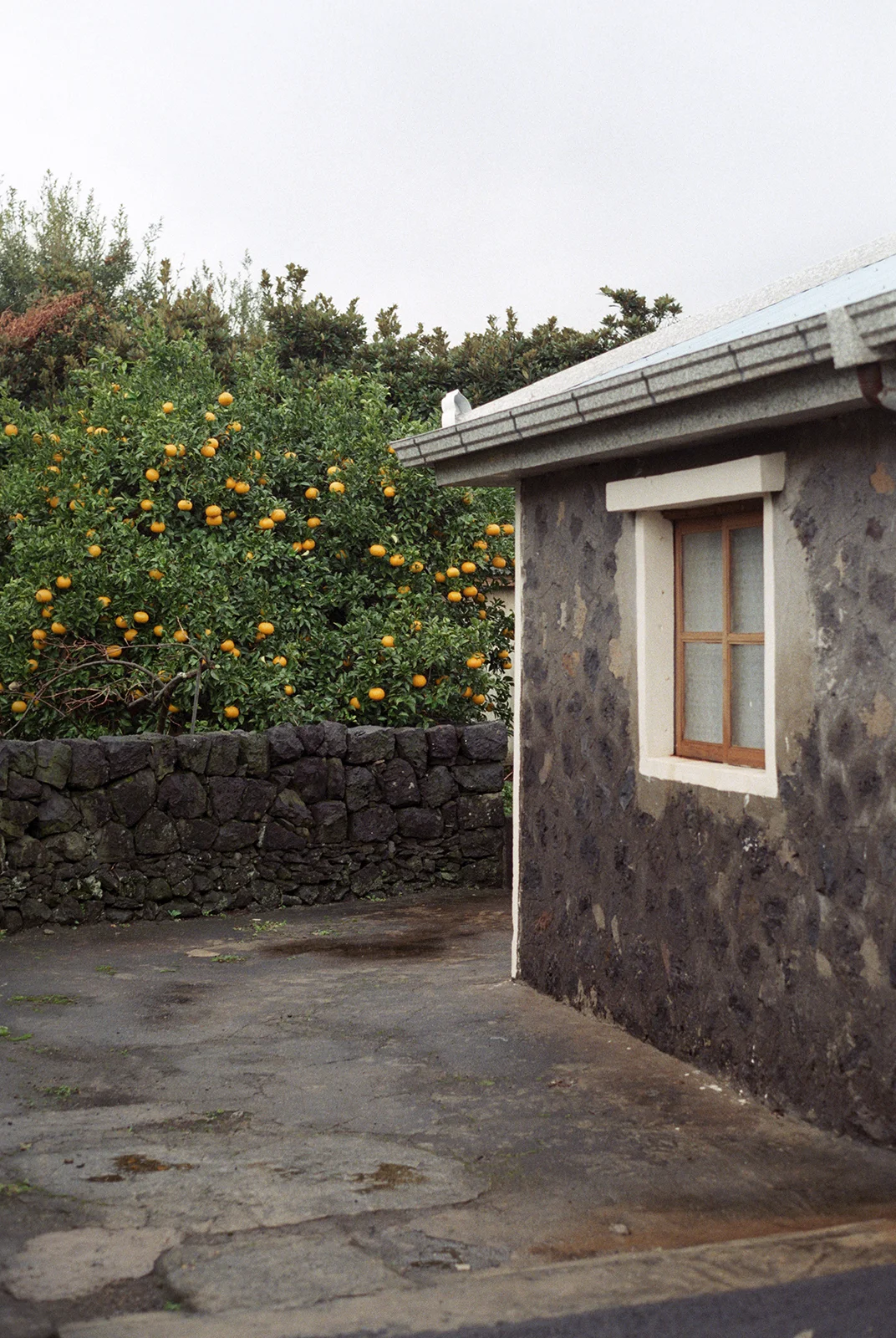 jeju, 2016