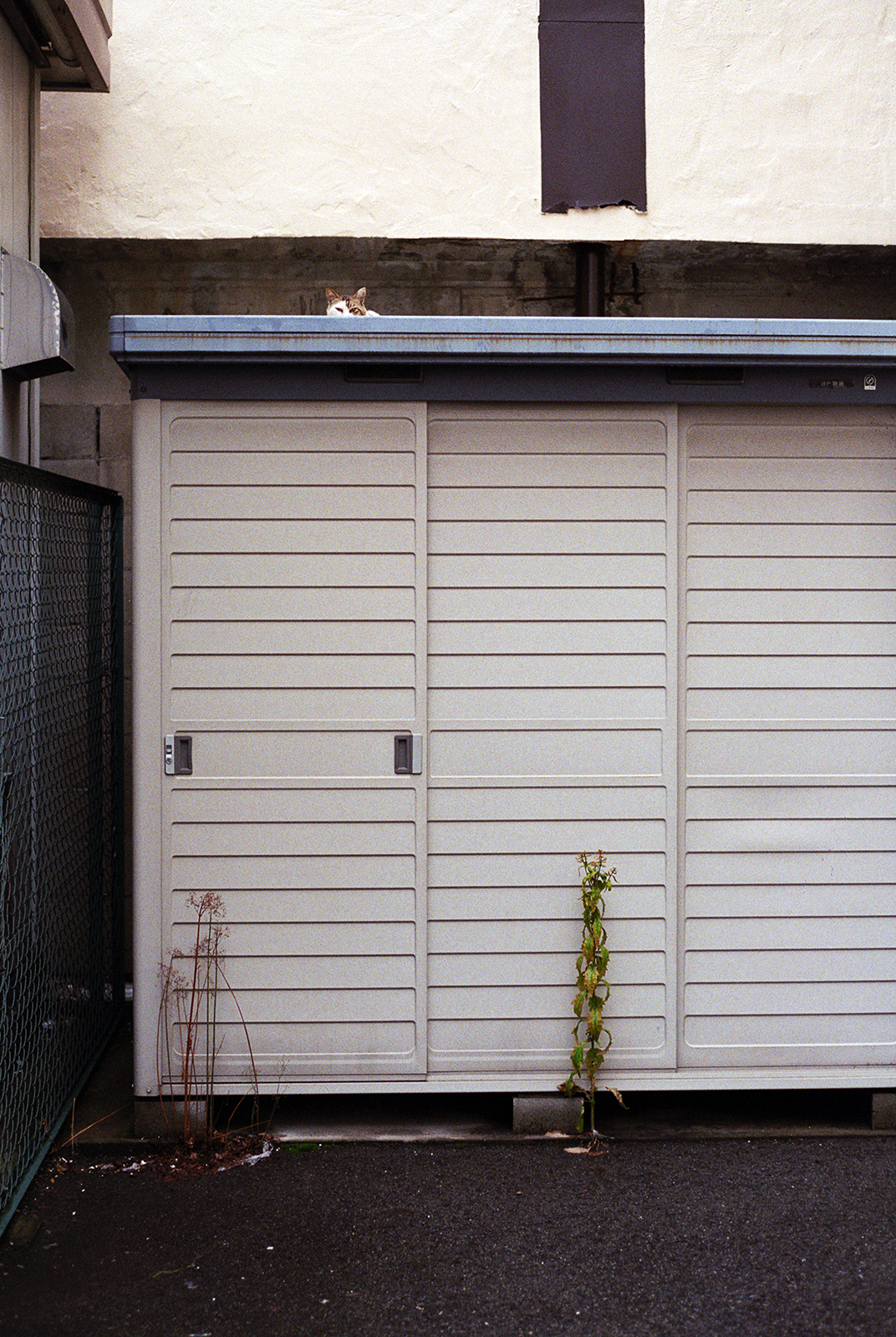 osaka, 2017