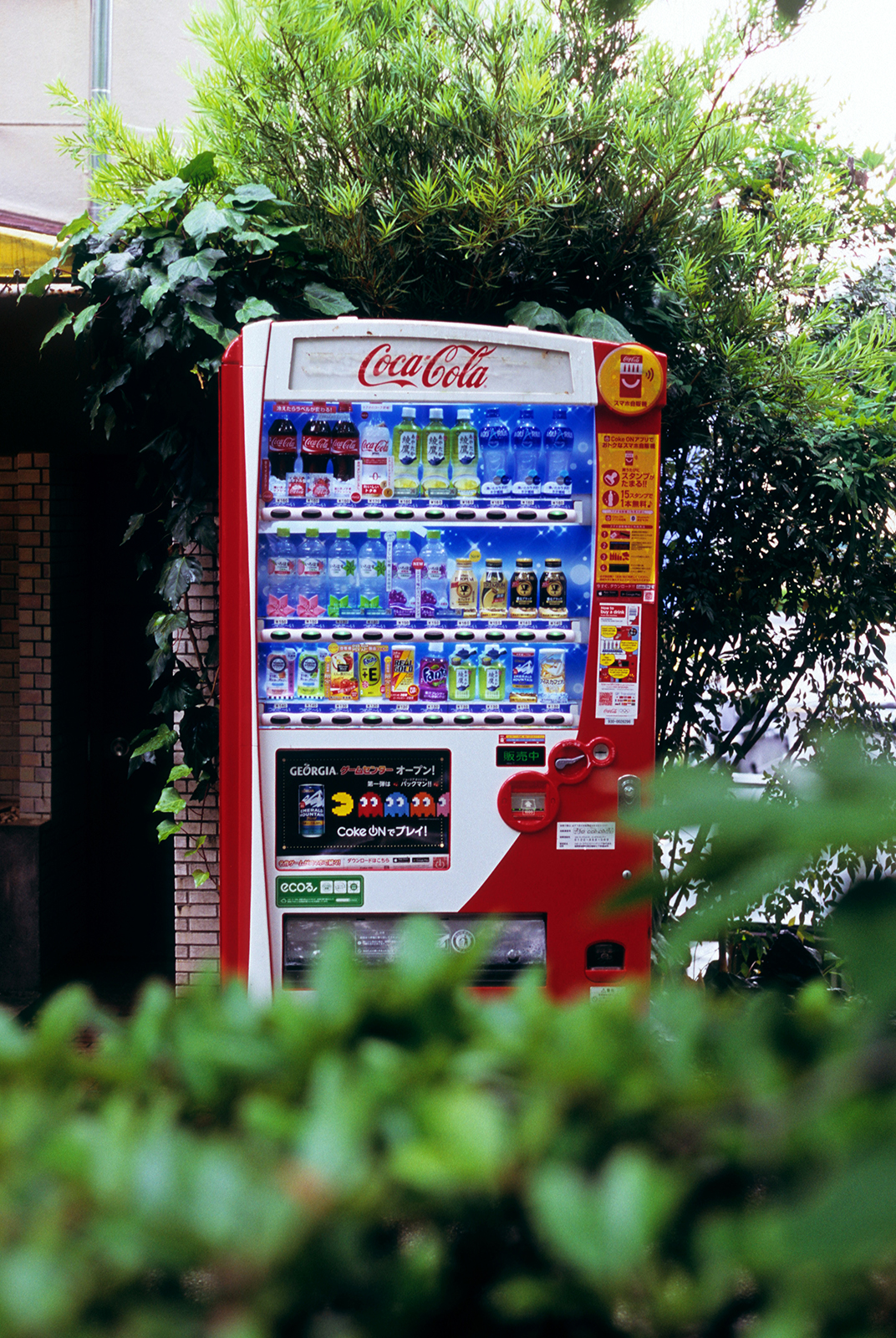 osaka, 2017