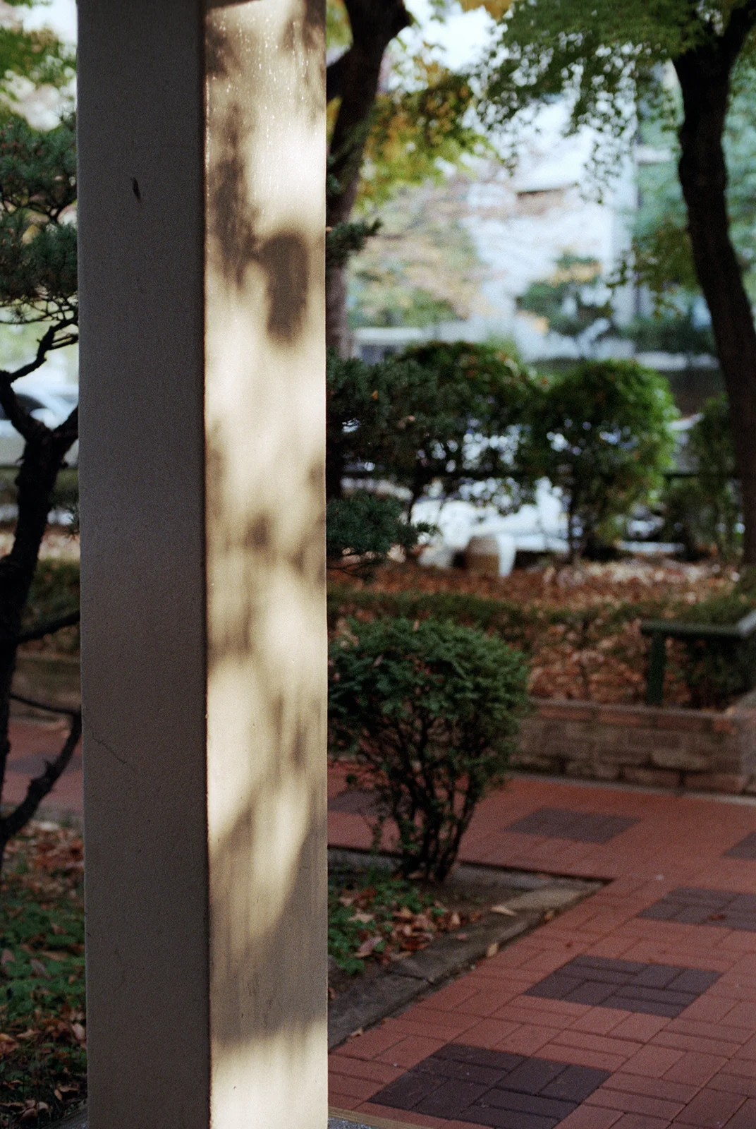 seoul, 2017