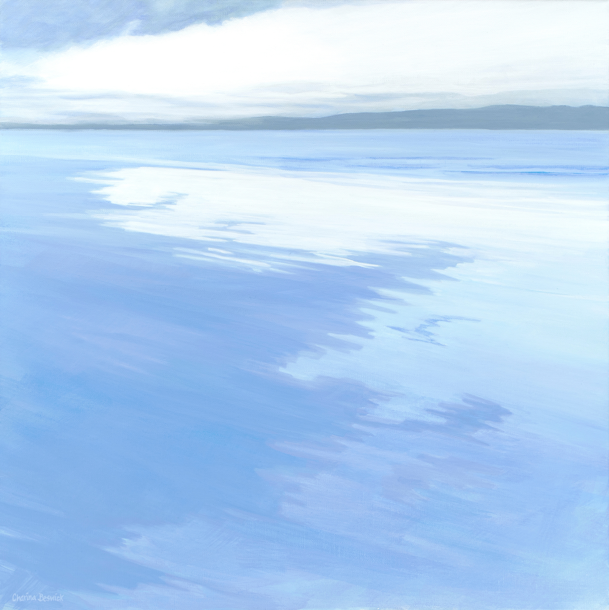 'Reflections. wet sands'