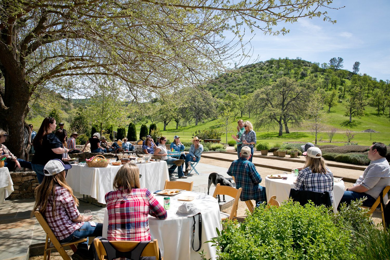 Recap: A Day at the Ranch — Montgomery Creek Ranch - A Wild Horse Sanctuary