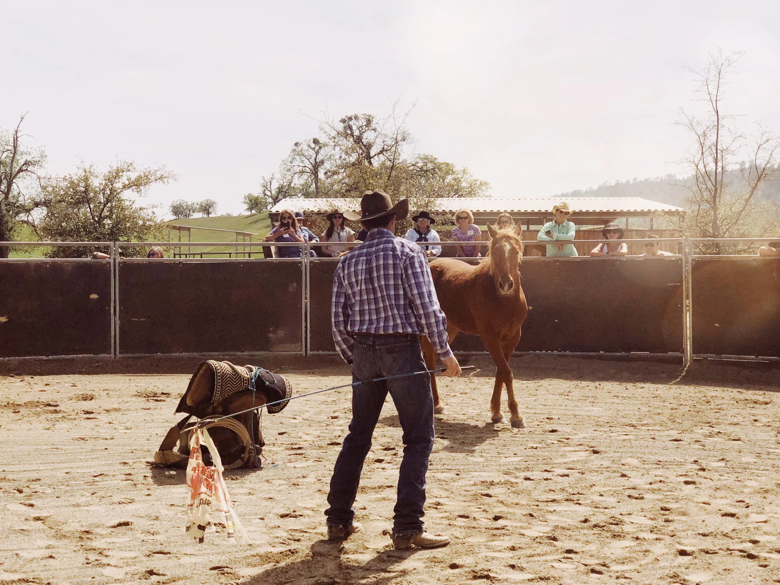 Recap: A Day at the Ranch