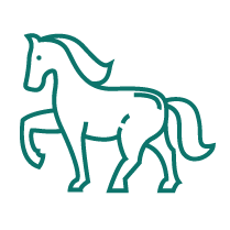 web-icons-05-05.png