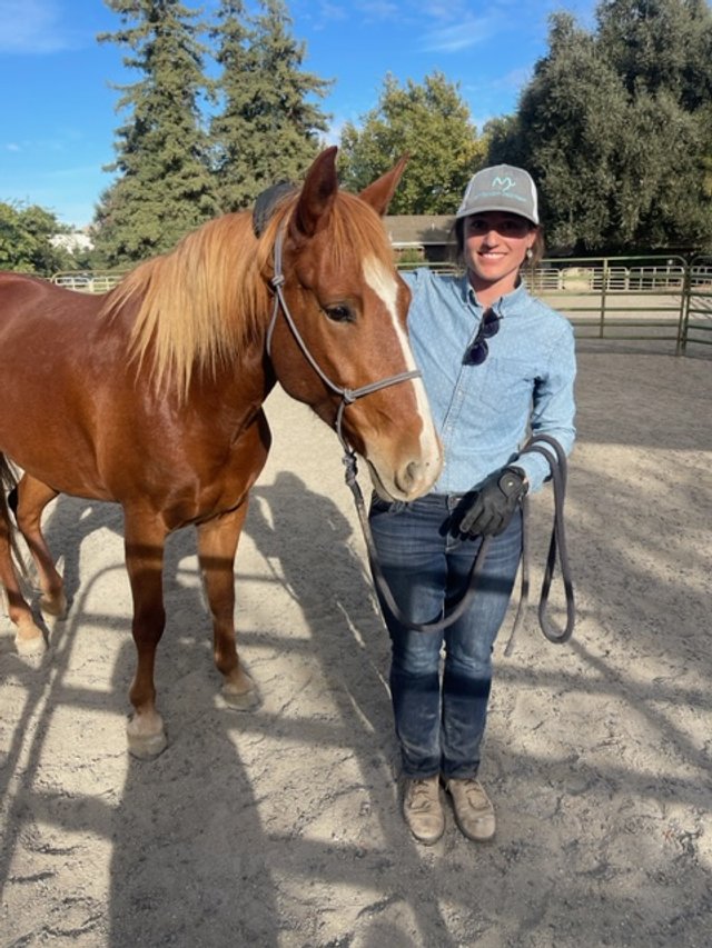 Montgomery Creek Ranch Takes Part in UC Davis Horse Day 2023