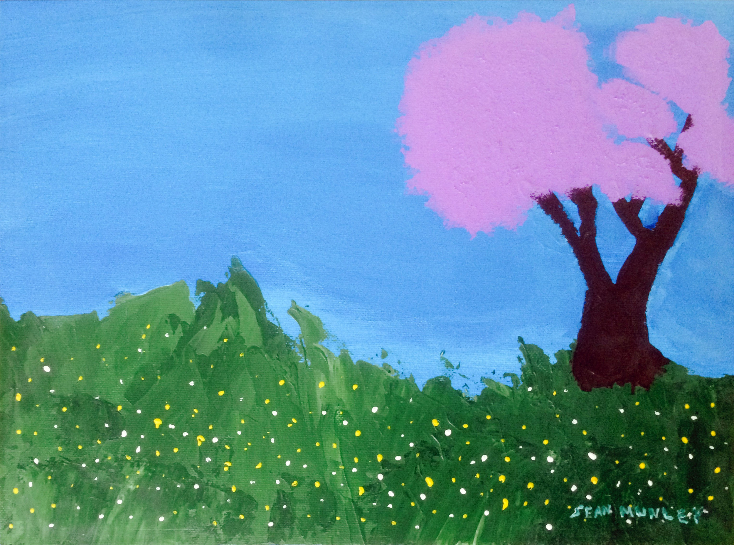 Jacaranda Tree