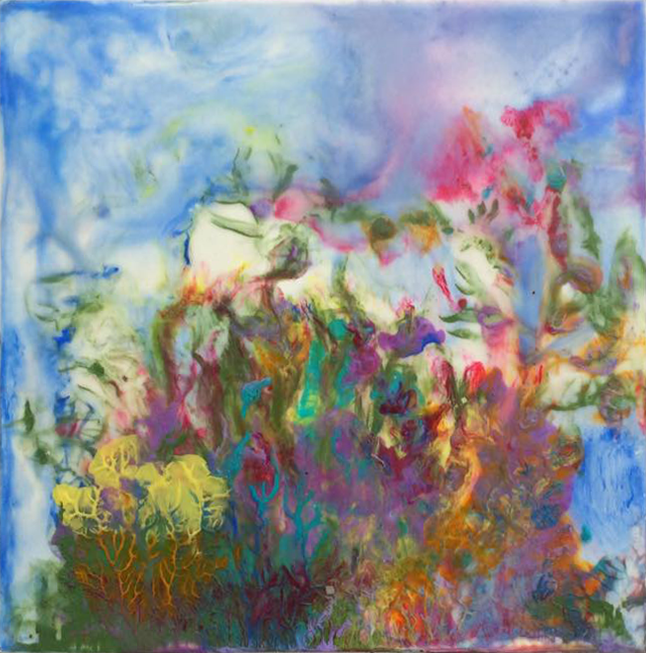 Wildflowers on the Moor