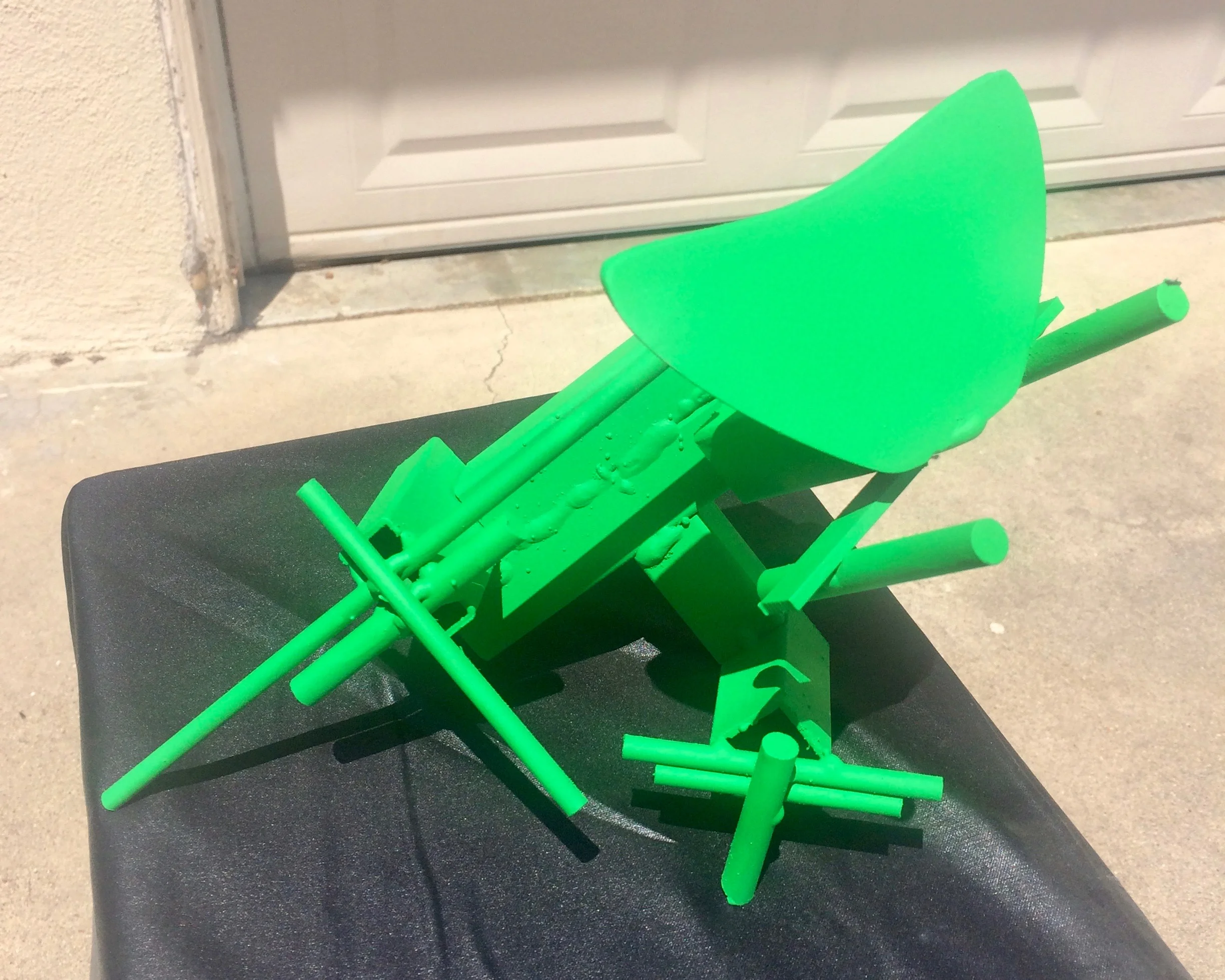 Praying Mantis