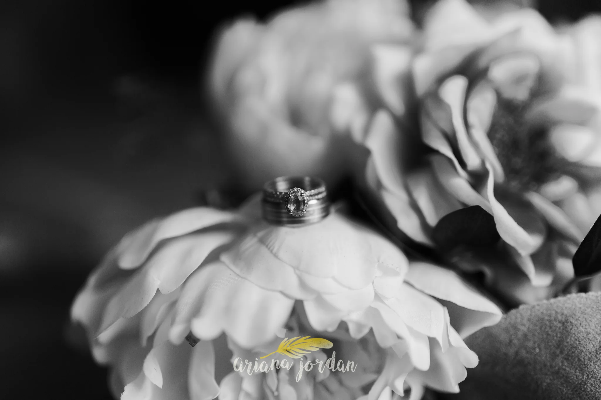 Kentucky Wedding Photographer - Red River Gorge Wedding -8.jpg