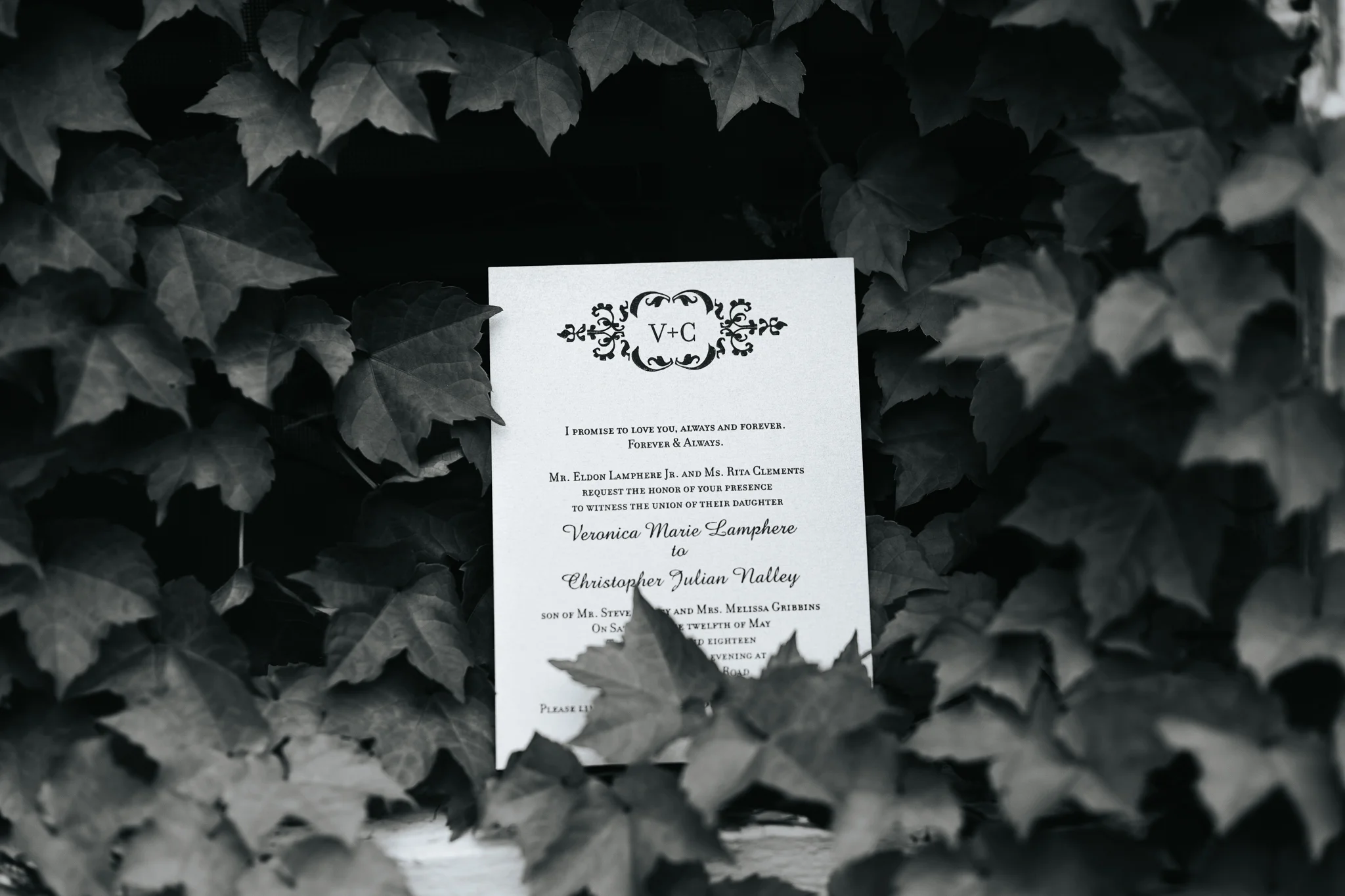 0007 Ariana Jordan Photo - Chris & Veronica's Wedding 1399.jpg