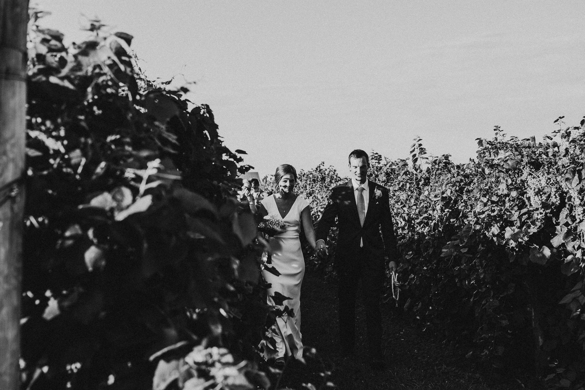 Ariana Jordan Photo - Kentucky Talon Winery Wedding 0186.jpg