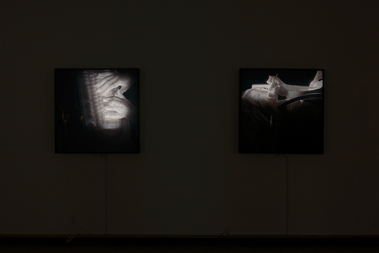Certainties Installation View