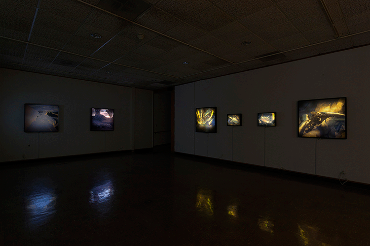 Certainties Installation View