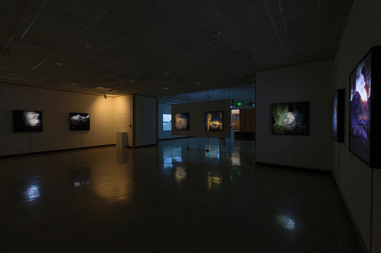 Certainties Installation View
